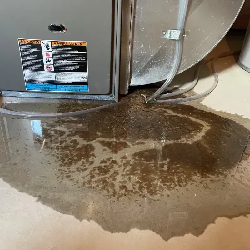 Appliance Leak Cleanup in Charleston, MO